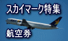 スカイマーク特集